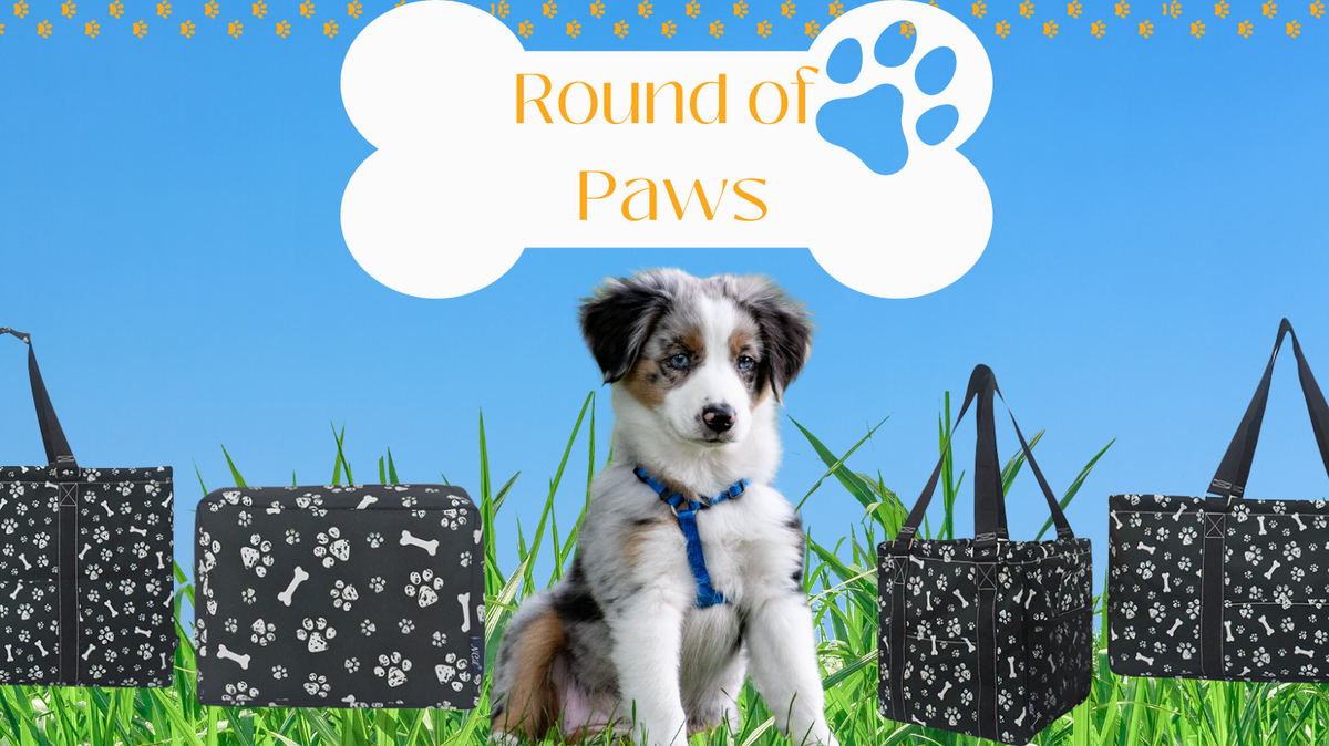 Round of Paws: Fetching Fashion Trends for Doggone Chic Looks! 🐾