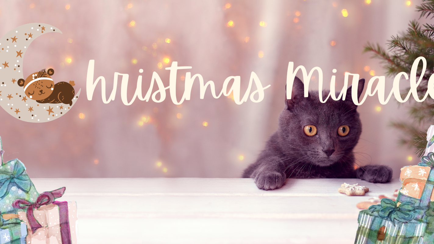 The Perfect Christmas Miracle Gift