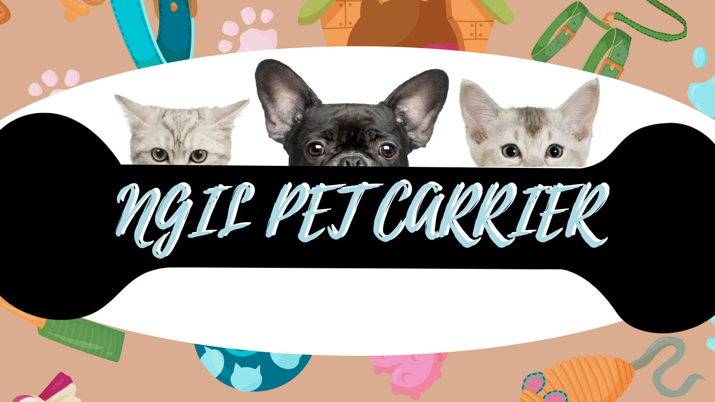 MommyWholesale's New NGIL Pet Carrier Bag: The Ultimate Blend of Style and Comfort for Your Furry Friend!