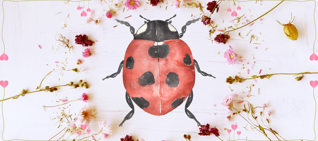🐞 Buggy for Love: MommyWholeSale's Lady-Bug Print Perfect for Valentine's 🐞