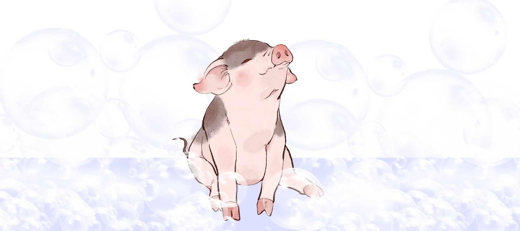 Piggy Spa Collection: The Cutest Way to Relax 🐷🛁