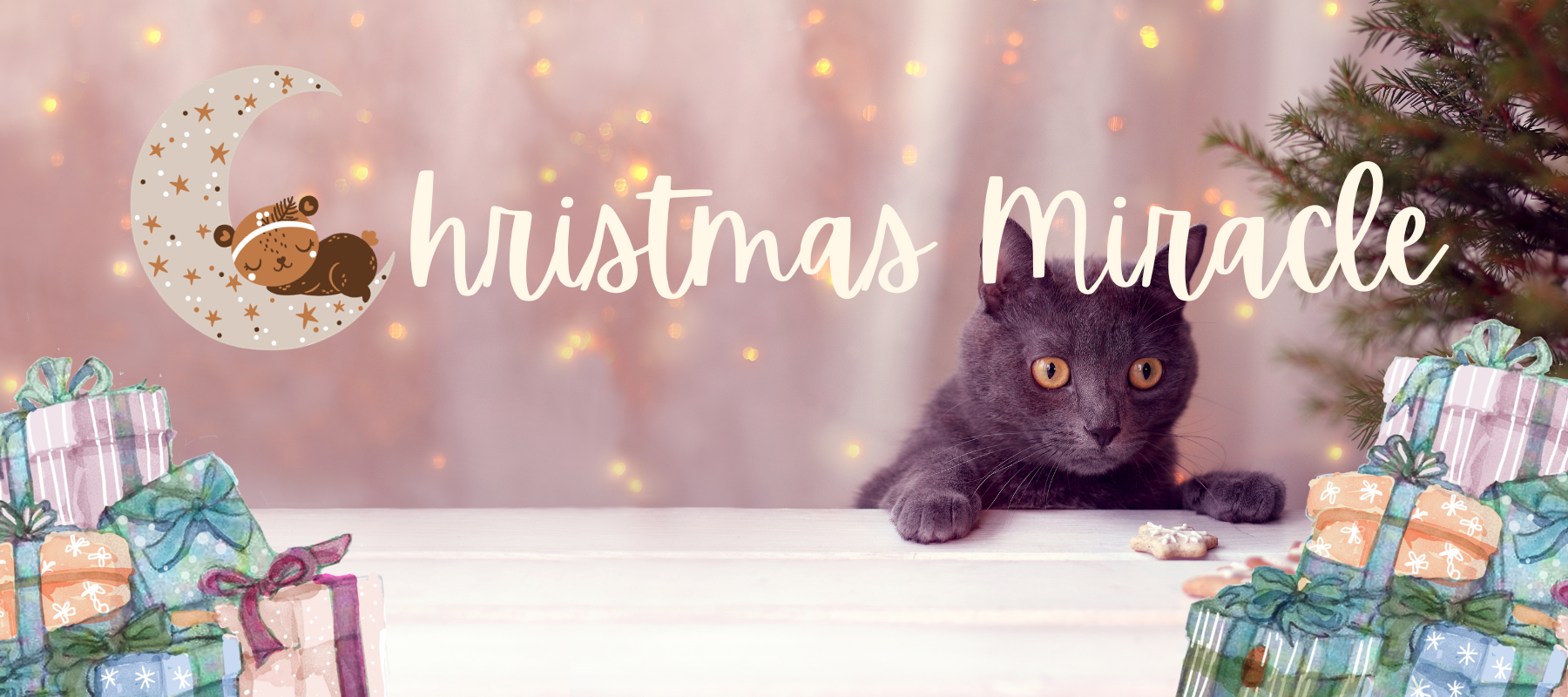 The Perfect Christmas Miracle Gift